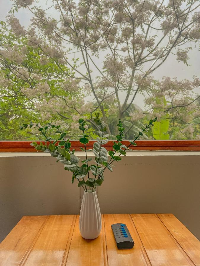 Cosiana Homestay Ninh Binh Buitenkant foto